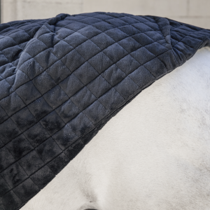 Kentucky gūnia Show Rug 160g - Image 7