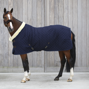 Alternative view of Kentucky gūnia Show Rug 160g