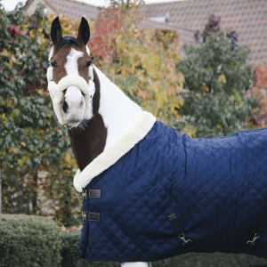 Kentucky gūnia Show Rug 160g - Image 4