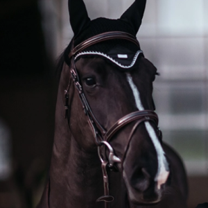 Equestrian Stockholm ausinukas Black Edition - Image 4