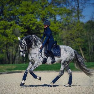 Equestrian Stockholm išjodinėjimo pobalnis Royal Classic - Image 3
