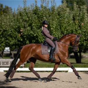 Equestrian Stockholm išjodinėjimo pobalnis Amaranth - Image 3