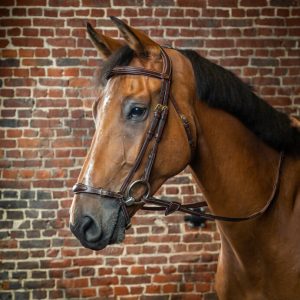 Dyon kamanos Adjustable Drop Noseband D Collection - Image 3