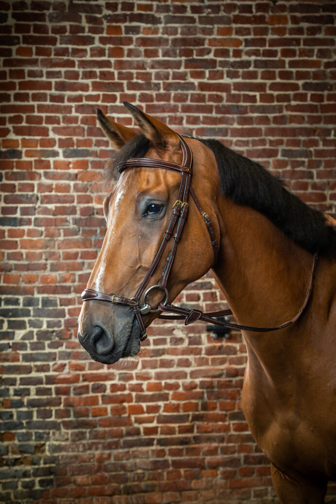 Dyon kamanos Adjustable Drop Noseband D Collection - Image 3