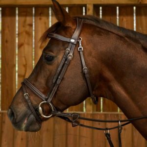 Dyon kamanos Flash Noseband With Snap Hooks Working - Image 13