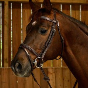 Dyon kamanos Flash Noseband With Snap Hooks Working - Image 12