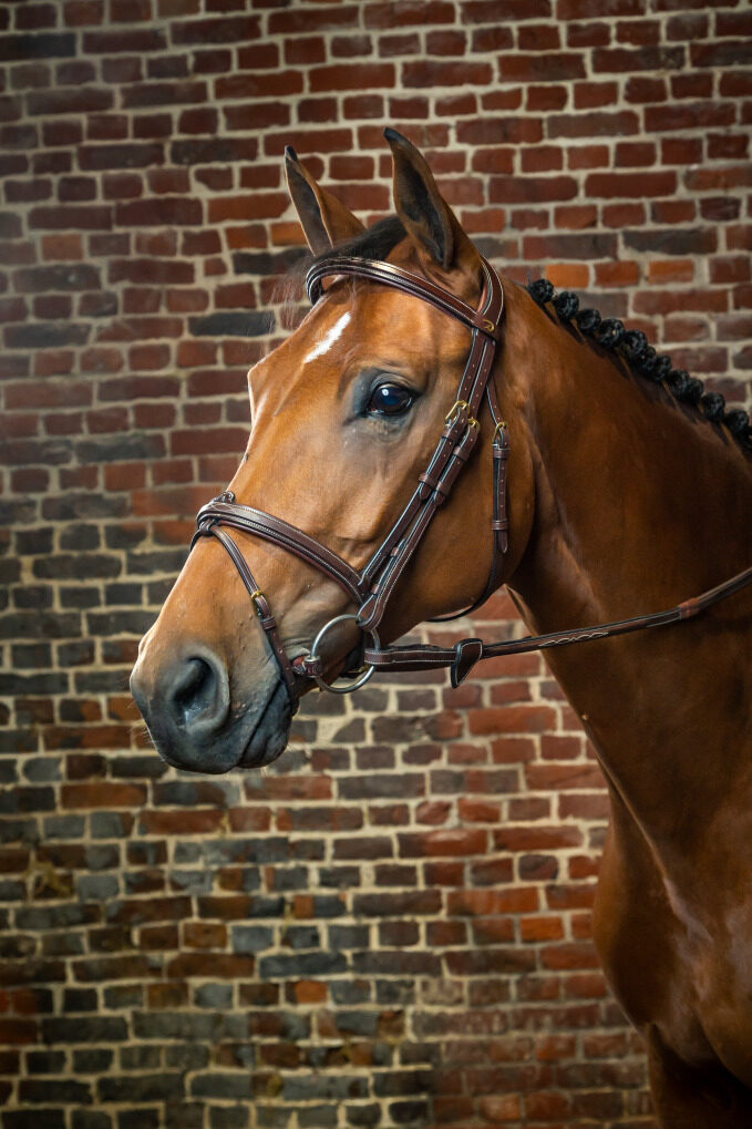 Dyon kamanos Flash Noseband D Collection - Image 10