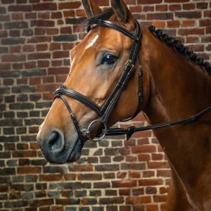 Dyon kamanos Flash Noseband D Collection - Image 11