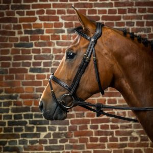 Dyon kamanos Flash Noseband D Collection - Image 12