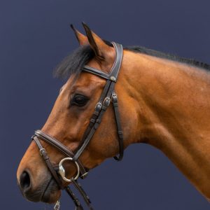 Dyon kamanos Flash Noseband Working - Image 3
