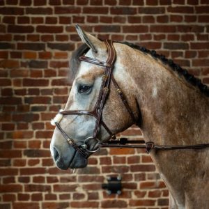 Dyon kamanos Fig 8 Noseband D Collection - Image 10