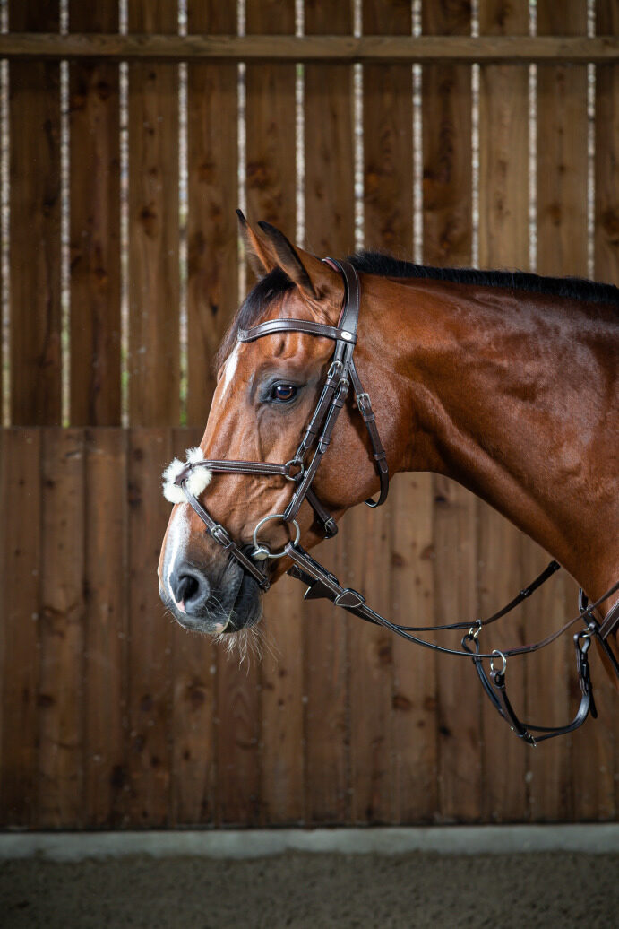 Dyon kamanos Fig 8 Noseband Working - Image 2
