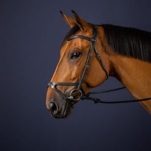 Dyon kamanos X-fit Bridle D Collection - Image 4