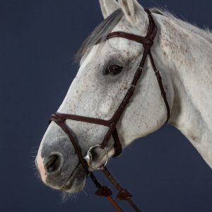 Dyon kamanos X-fit Bridle D Collection - Image 5