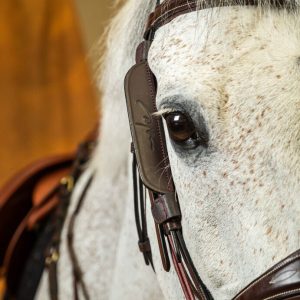 Dyon Blinkers - Image 3