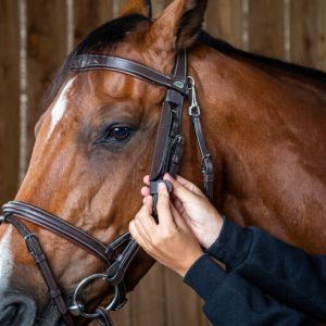 Dyon Blinkers - Image 5