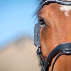 Dyon Blinkers - Image 7