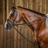 Dyon Full Leather špruntas Working