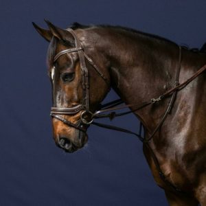 Dyon pavadžiai 1/2 Howlett Rubber Working - Image 3