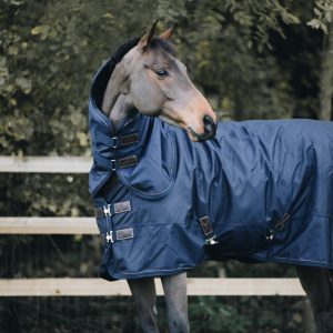 Kentucky lauko gūnios kaklas All Weather Pro 150g - Image 6