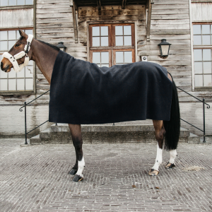 Kentucky storo flyso užklotas/gūnia - Image 5