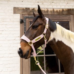 Kentucky Velvet kantaras - Image 18