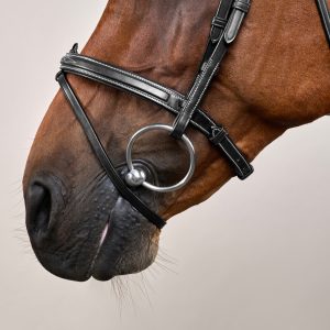 Dyon kamanos Flash Noseband D Collection - Image 4