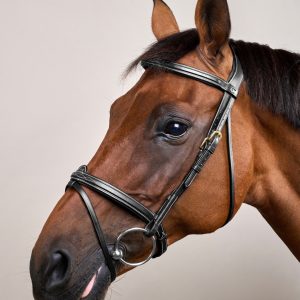 Dyon kamanos Flash Noseband D Collection - Image 5