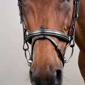 Dyon kamanos Flash Noseband D Collection - Image 6