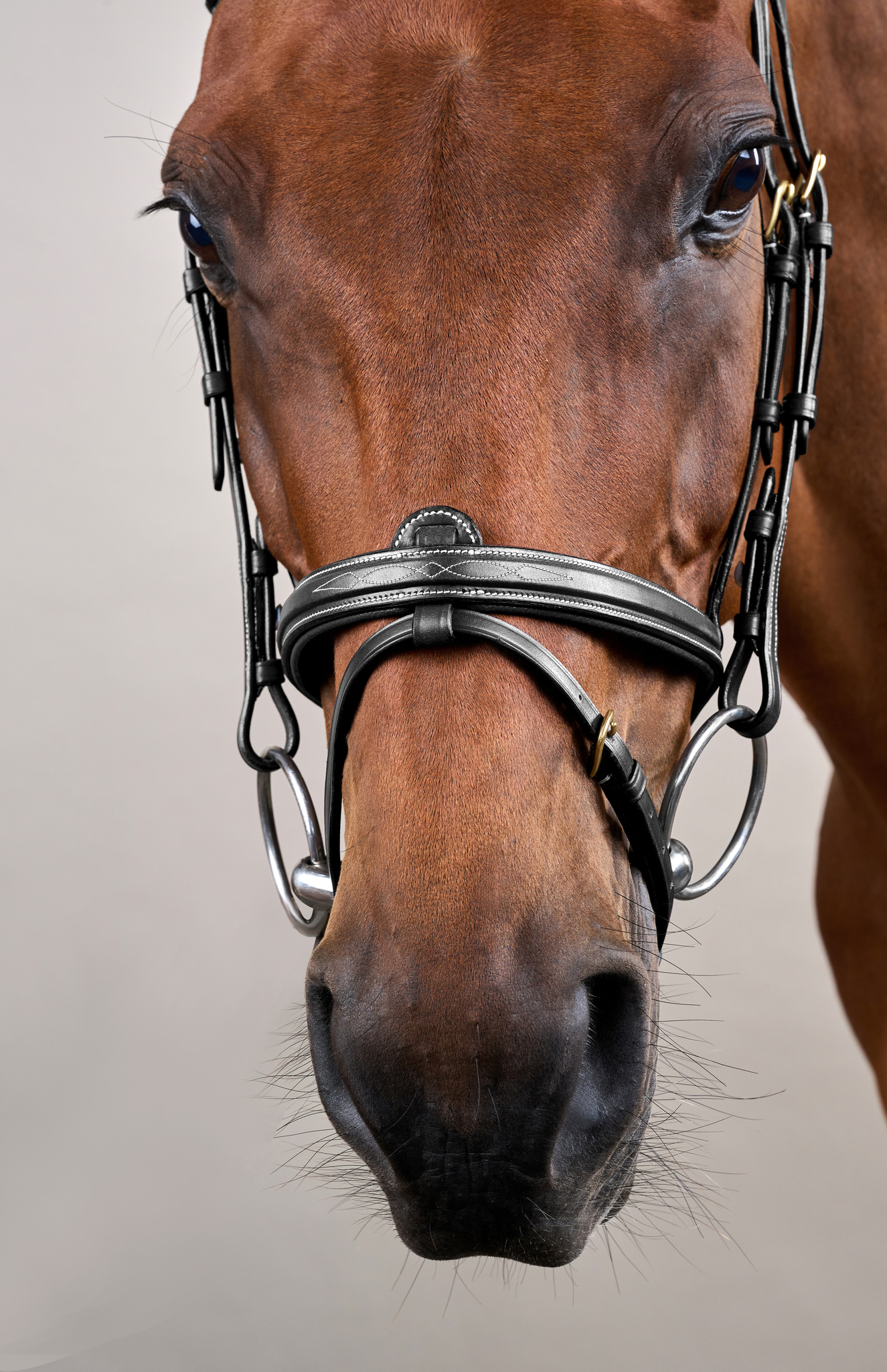 Dyon kamanos Flash Noseband D Collection - Image 6