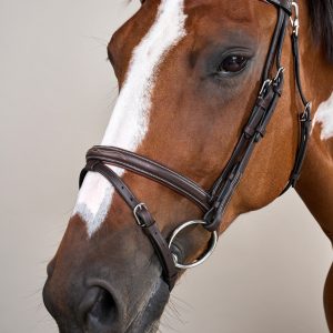 Dyon kamanos Flash Noseband With Snap Hooks Working - Image 6