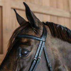 Kentucky Plaited Flash Noseband kamanos New English - Image 8