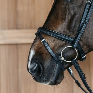 Kentucky Plaited Flash Noseband kamanos New English - Image 6