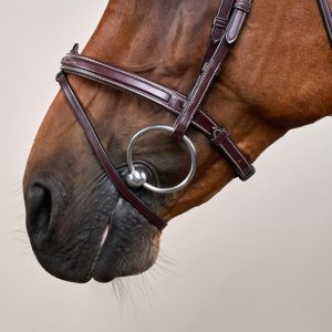 Dyon kamanos Flash Noseband D Collection - Image 7