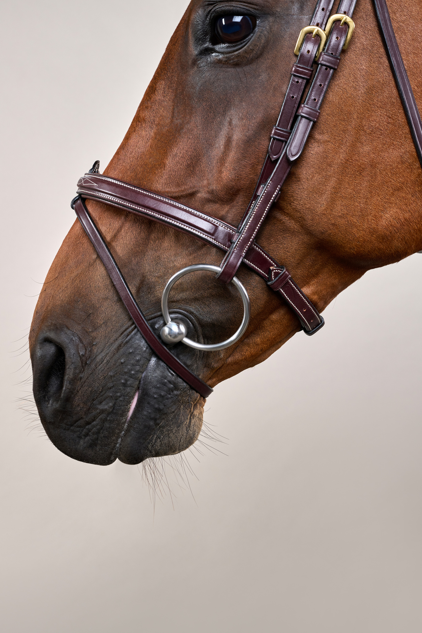 Dyon kamanos Flash Noseband D Collection - Image 7