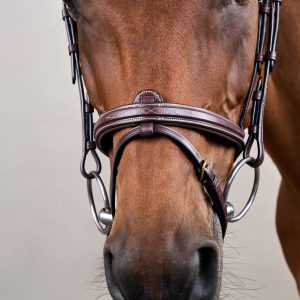 Dyon kamanos Flash Noseband D Collection - Image 8