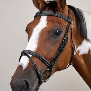 Dyon kamanos Flash Noseband With Snap Hooks Working - Image 8