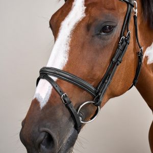 Dyon kamanos Flash Noseband With Snap Hooks Working - Image 10
