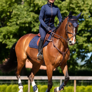 Equestrian Stockholm konkūrinis pobalnis Modern Lagoon Blush - Image 3