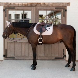 Kentucky Velvet pobalnis - Image 29