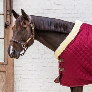 Kentucky gūnia Show Rug 160g - Image 11