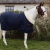 Kentucky gūnia Show Rug 160g