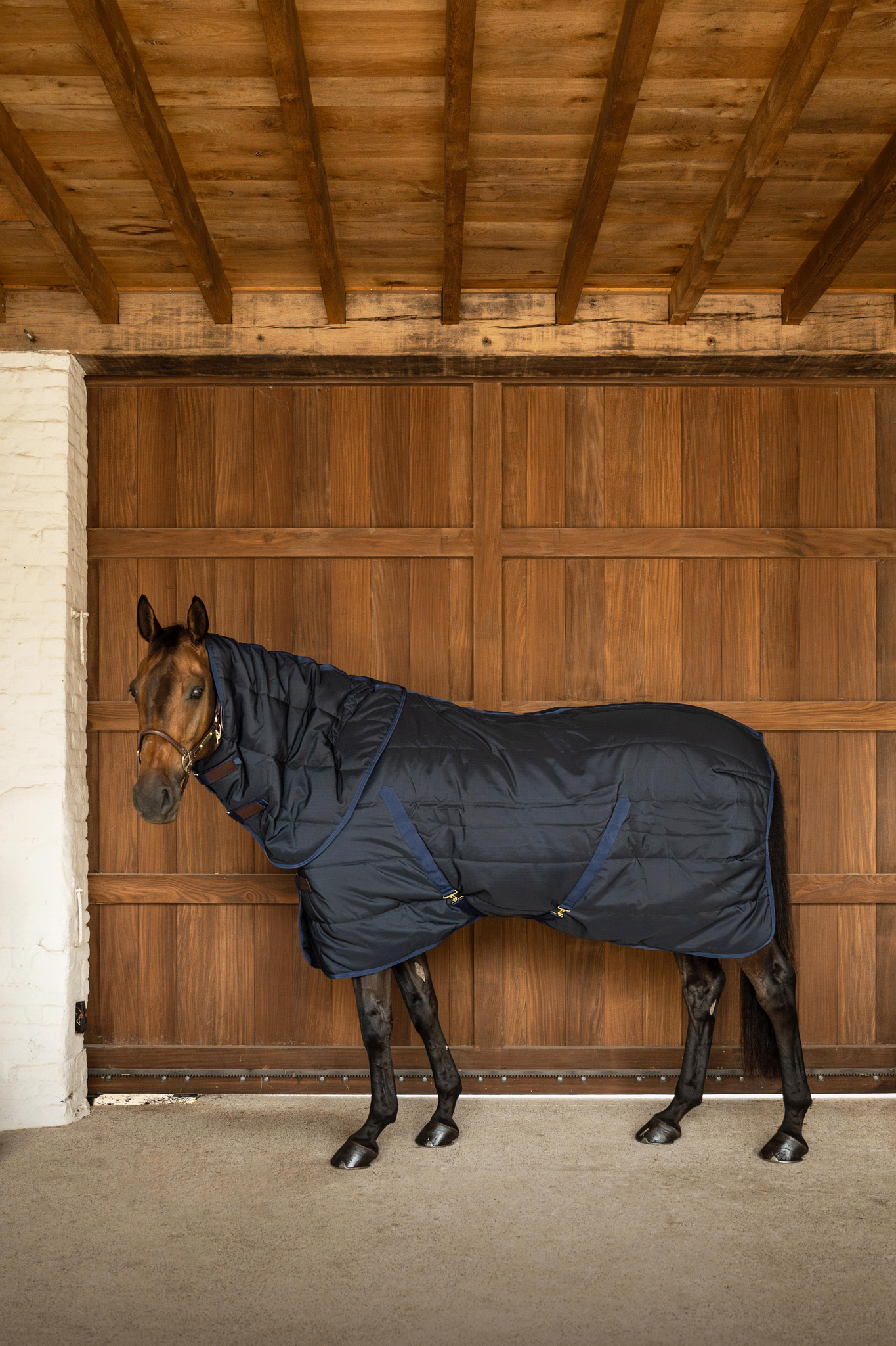 Kentucky gardo gūnia Classic with Neck 200g - Image 3