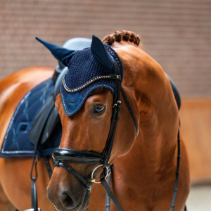 Equestrian Stockholm ausinukas Modern Crystal Blue Meadow