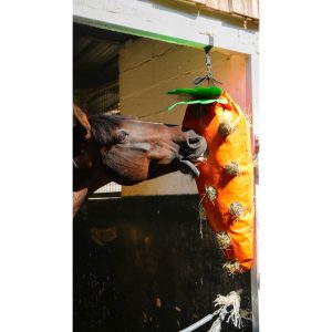 Hippotonic šienmaišis Carrot